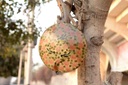 Camel skin wall mount lamp  - Duplicate IMG # 1