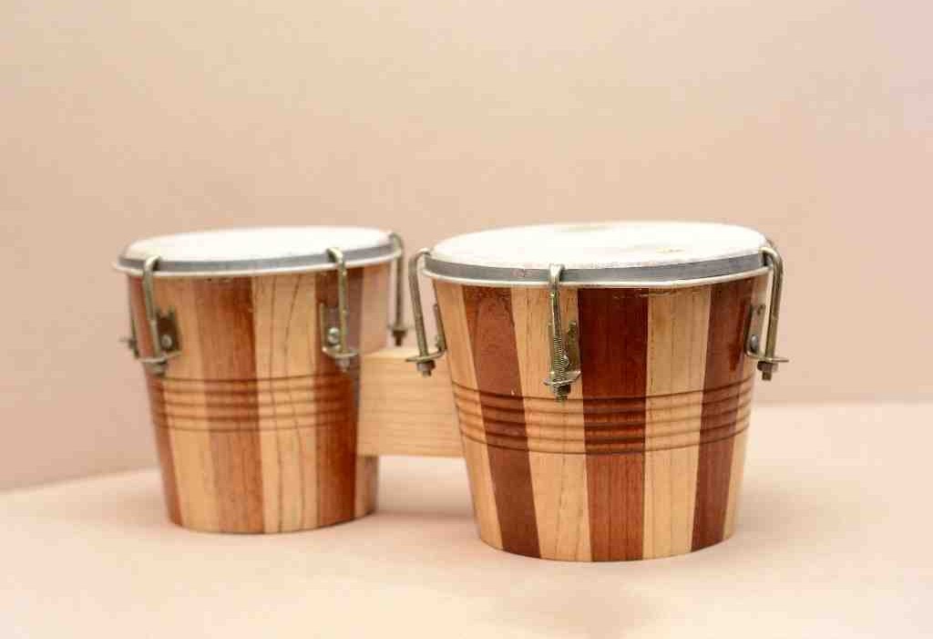 Bongo Drum IMG # 1
