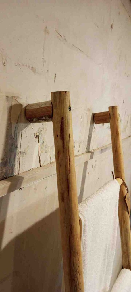 Stick Ladder  IMG # 1