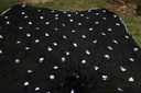 Crinkle crepe Fabric Embroided Dupatta - Duplicate IMG # 1