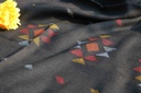 Swati Khaddi Embroidered Wool Shawl