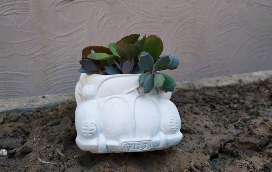 The Volkswagon Foxy Planter IMG # 2