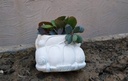 The Volkswagon Foxy Planter IMG # 2