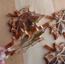 Resin Coasters  IMG # 1