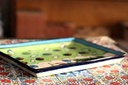 Blue Pottery Oval Tray - Duplicate IMG # 1