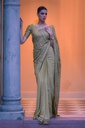 Extra image for Royal Embroidered Saree