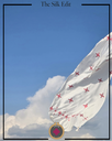 Extra image for Silk Stole - 08