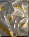 Extra image for Silk Stole - 09