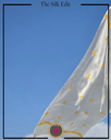 Extra image for Silk Stole - 09