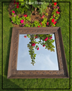 Extra image for Square Wooden Frame - H103