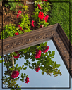 Extra image for Square Wooden Frame - H103