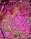 Extra image for GUL BANO - 3316