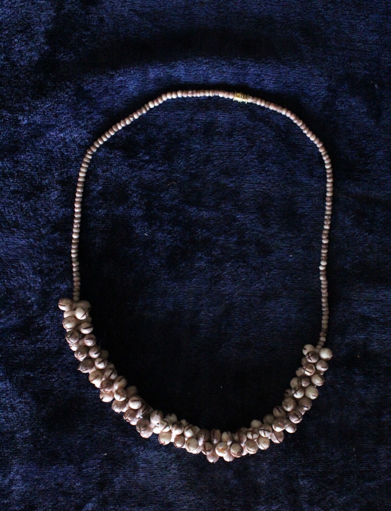 Camelbone Necklace IMG # 5542