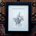 Money Plant - Drawing IMG # 1
