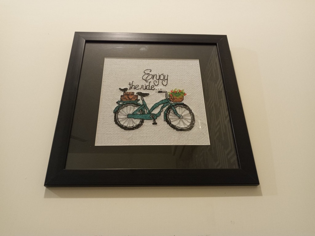 Enjoy the ride IMG # 1