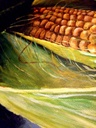 A Corn IMG # 1