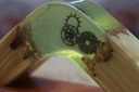 Epoxy resin lamp IMG # 1