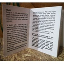 The Prophet's Mudd IMG # 1