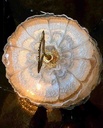 Shimmering Stars Multipurpose Resin Stand IMG # 1