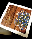 wild flowers IMG # 1