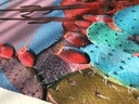 Cacto IMG # 1