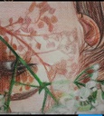 pencil drawing IMG # 1