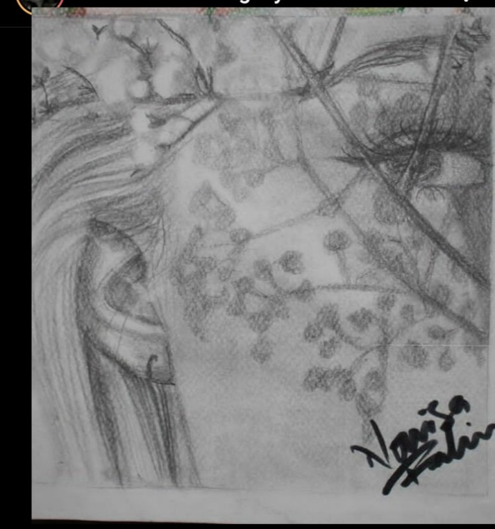 pencil drawing IMG # 1