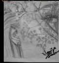 pencil drawing IMG # 1