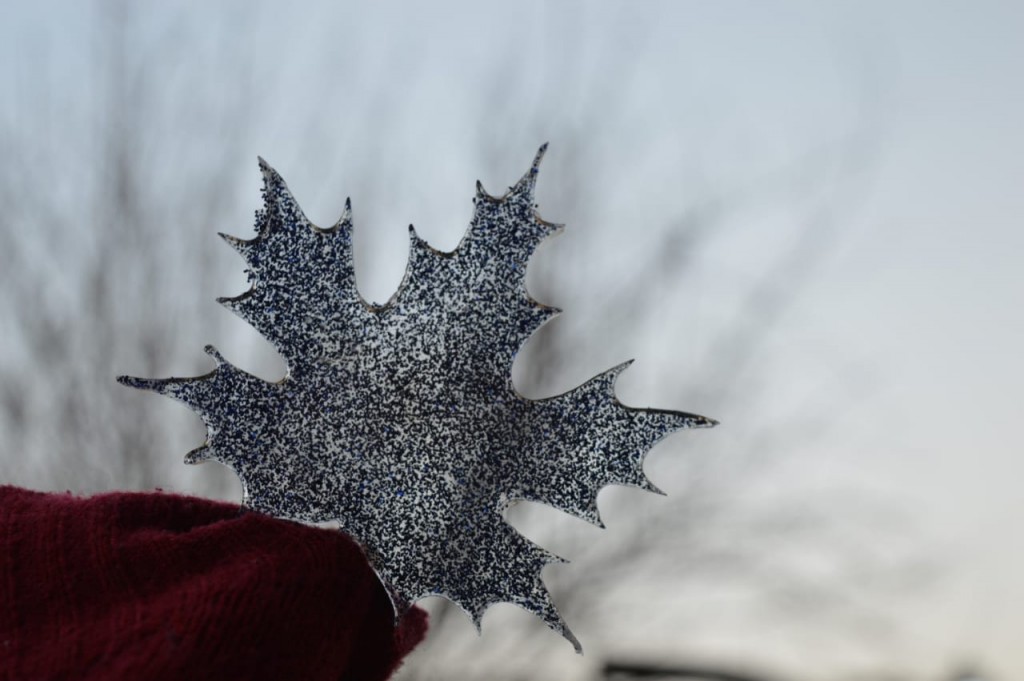Resin leaf IMG # 1