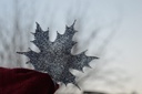 Resin leaf IMG # 1