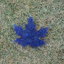Resin leaf IMG # 1