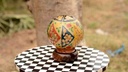 Camel skin lamp   - Duplicate IMG # 1
