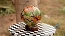 Camel skin lamp       - Duplicate IMG # 1