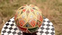 Camel skin lamp           - Duplicate IMG # 1
