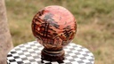 Camel skin  lamp  - Duplicate IMG # 1