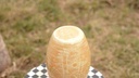 Camel skin lamp  - Duplicate IMG # 1