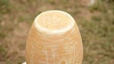 Camel skin lamp   - Duplicate IMG # 1