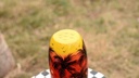 Camel skin lamp   - Duplicate IMG # 1