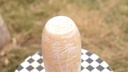 Camel skin lamp    - Duplicate IMG # 1