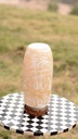 Camel skin lamp    - Duplicate IMG # 1