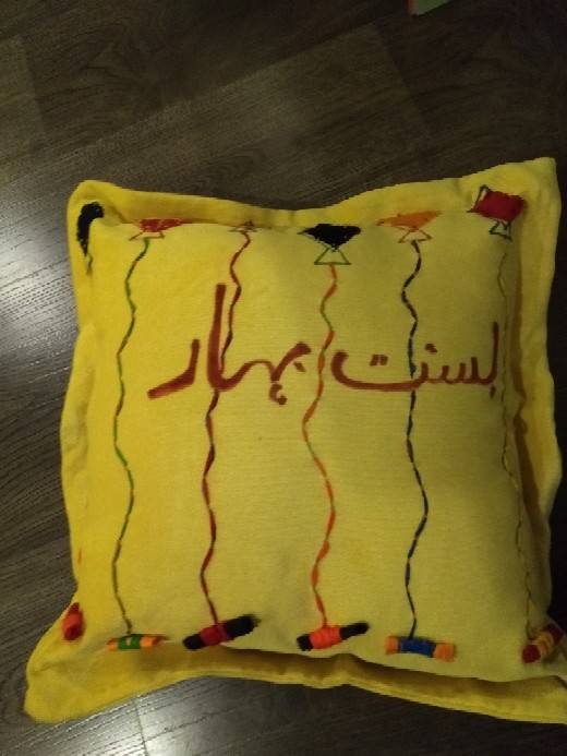 Hand Embroided Cushion