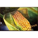 A Corn