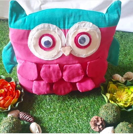 Owl Cushion Set