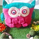 Owl Cushion Set