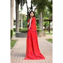 Embroidered Phulkari Shawl