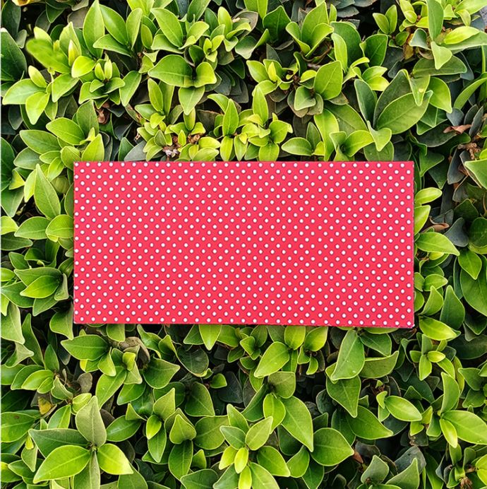 Envelope- Polka Dots (White on Red)