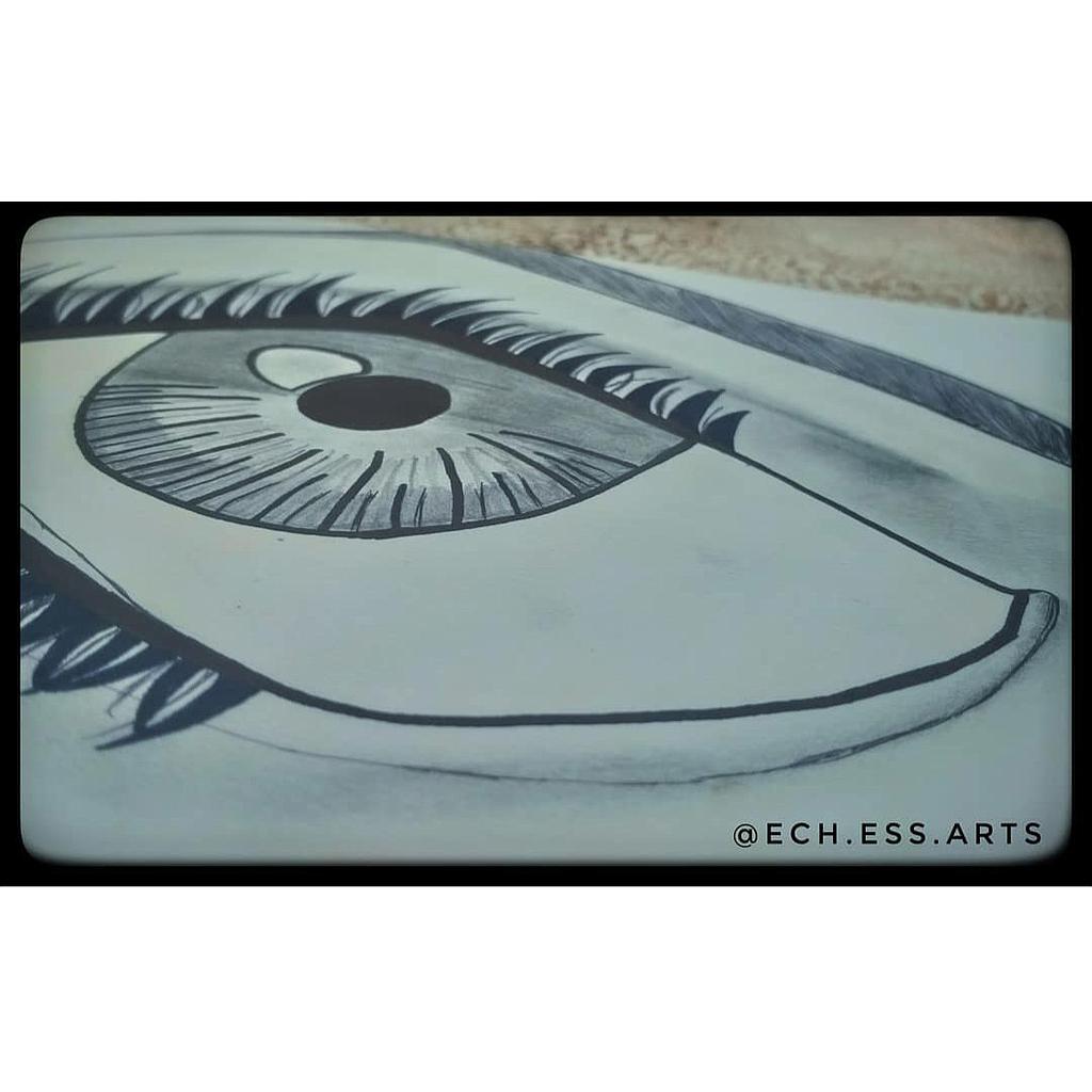 Contour Drawing