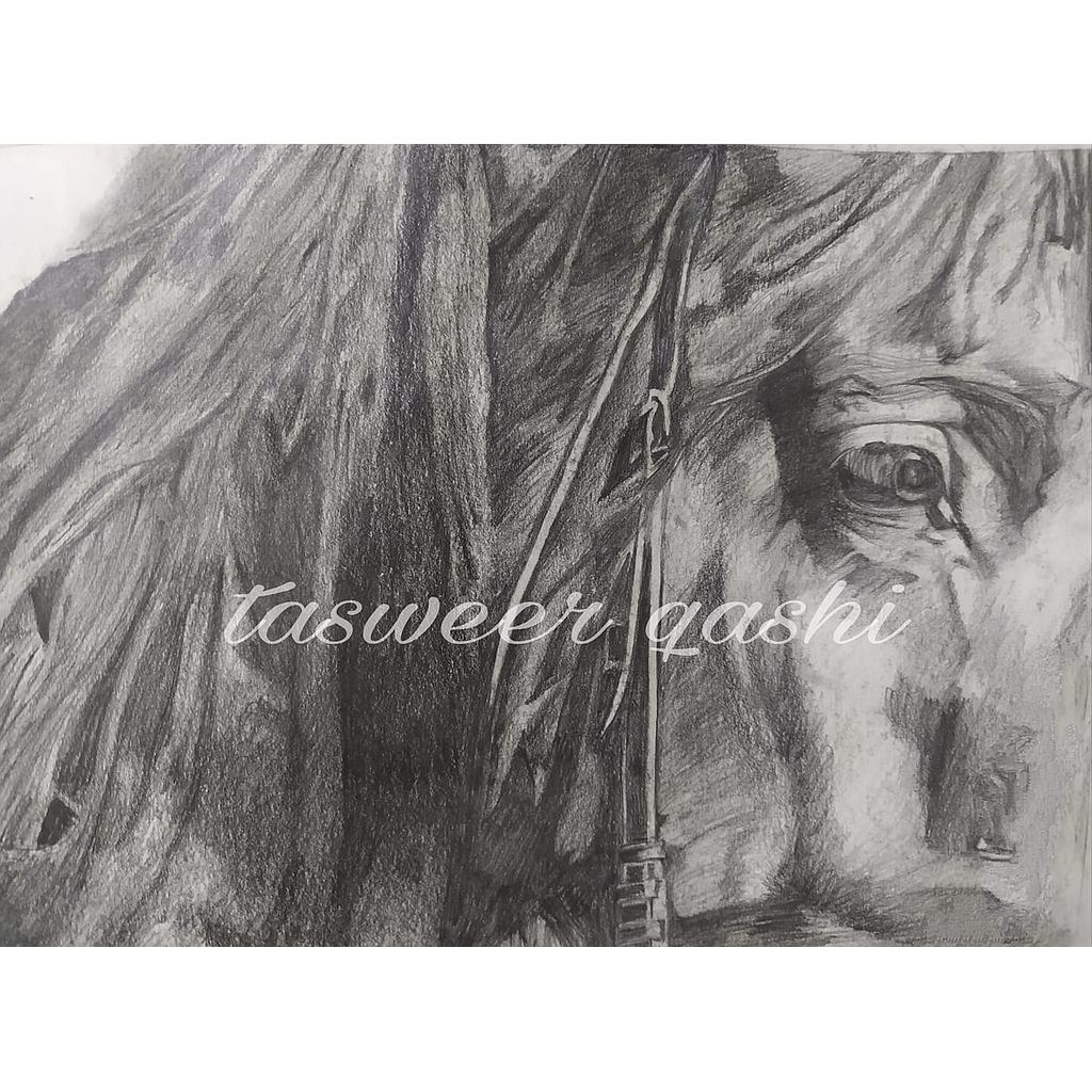 Horse Face