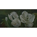 Tulip canvas wall Art