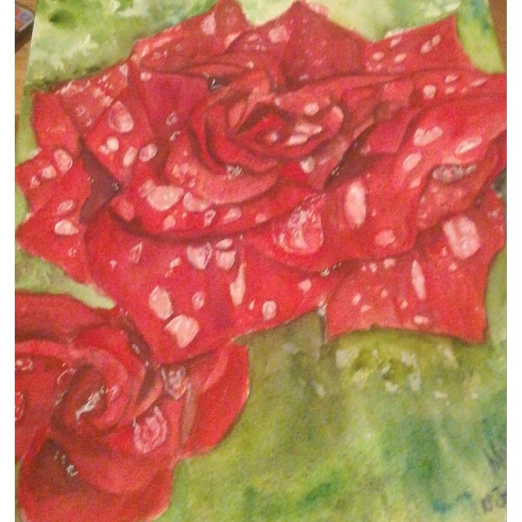 Red dewy roses